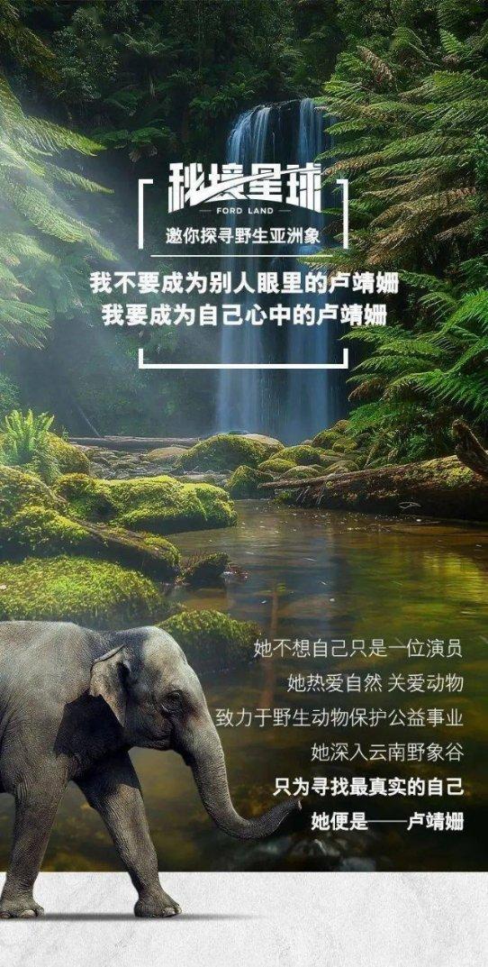 专业问答网站-优酷音乐免费下载,快速解答你的问题